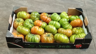 Foto Pomodoro Costoluto Calibro A Origine Italia Marchio Sempre Verde 1